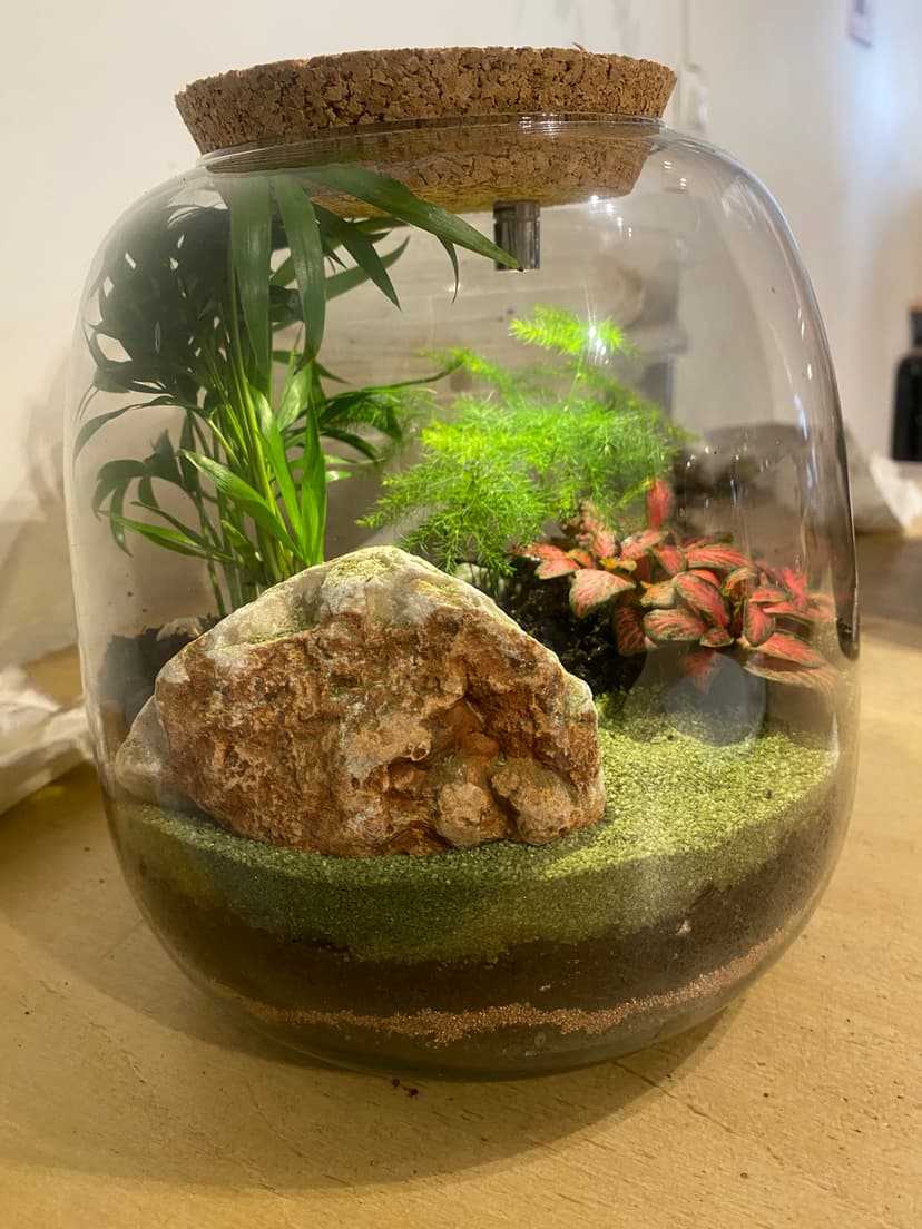 Créer son terrarium lumineux