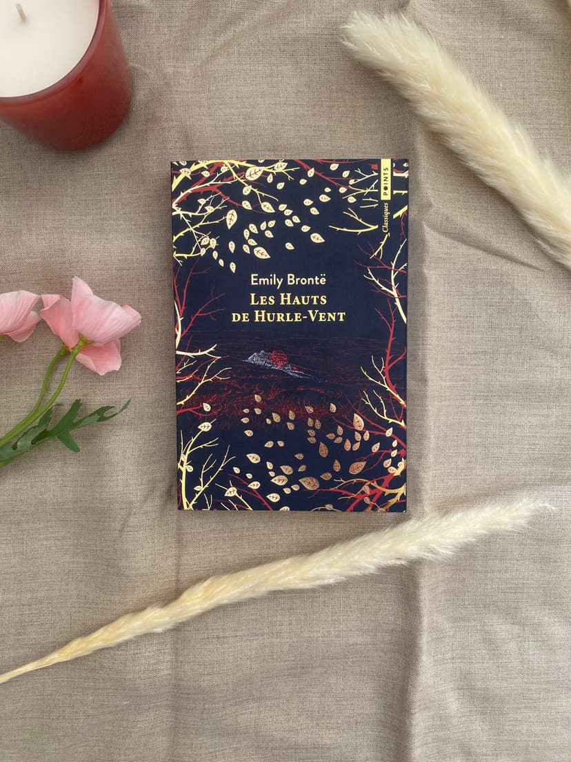 Avis lecture: Les hauts de Hurle-Vent