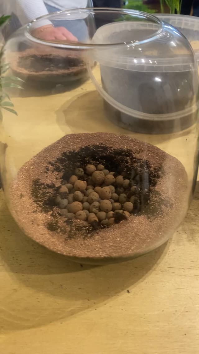 Début de l'atelier terrarium